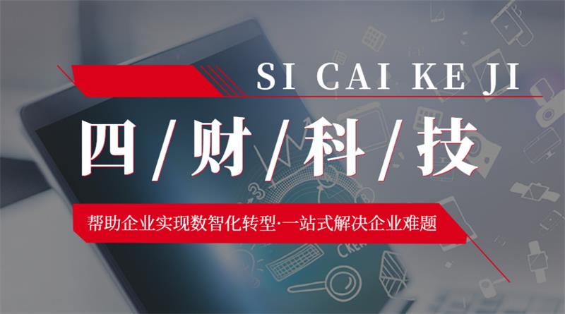 成都四財科技，助力企業實現數智化轉型